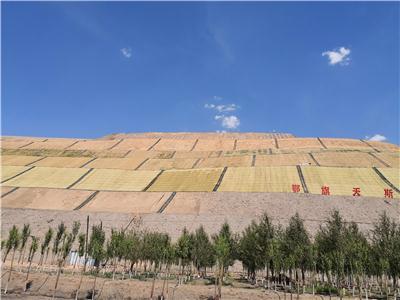 提炼性价比高的矿山修复环保草毯批量定制厂家，哪家好？