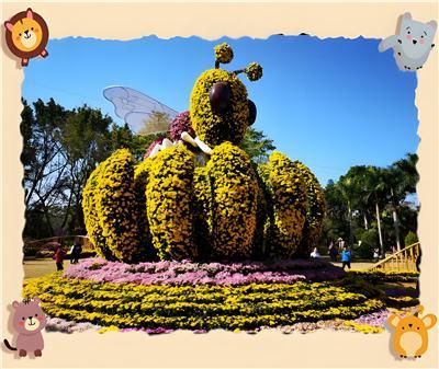 2026景区菊花展干货指南，盘点服务不错、口碑好的菊花展