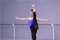 共话零基础舞蹈艺考机构选购，哪家性价比出众