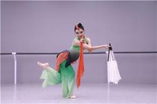 讲讲零基础舞蹈艺考服务怎么收费，哪家品牌更值得选