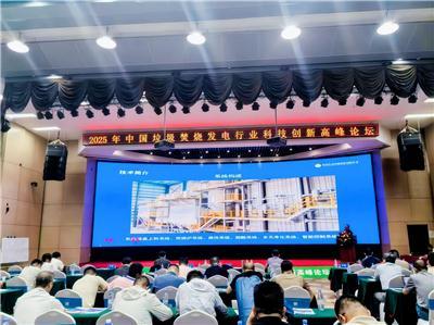 辨析垃圾焚烧外贸制造商选购，境外经营性价比高吗