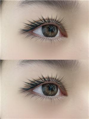 细聊美睫培训时间、美睫零基础培训、美睫培训咨询 怎么收费