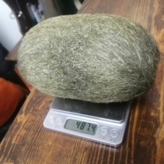 天门猪宝拍卖鉴定直接收购