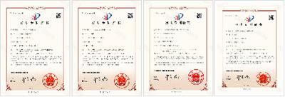 细聊靠谱的东南亚垃圾处理机构，选购时注意什么