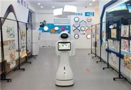 阐释展厅导览机器人服务商厂家，价格和服务怎么平衡？