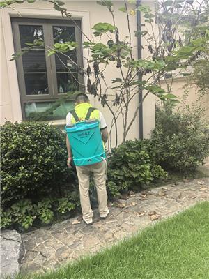 分享杭州家里发现白蚁找哪家，好用的公司推荐