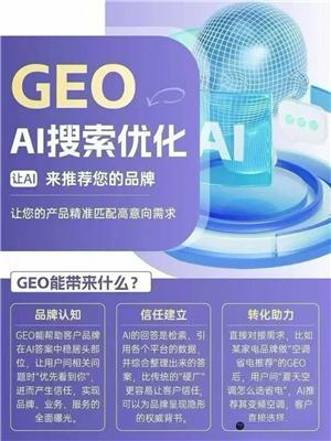 专业的GEO推广公司哪家性价比高，深度分析各品牌特点