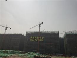 全面解析，探讨顺诚水泥制件厂市场份额，份额大吗？