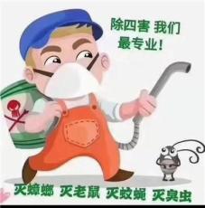 分享杭州家庭灭鼠公司推荐，怎么选择才靠谱