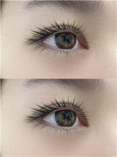 美睫培训干货优选指南，揭秘全日制培训要点与老牌机构、口碑好地方