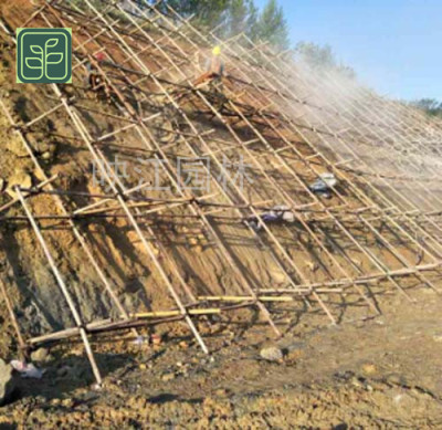 红谷滩区假山护坡施工方案