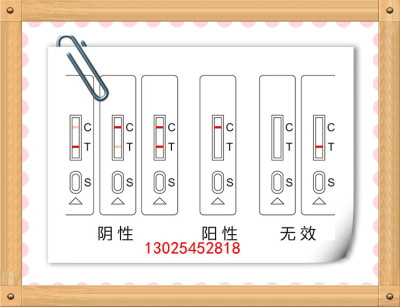 大米新陈度速测盒厂家直供
