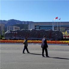 深聊热失重热流同步测试仪器，上海皆准仪器哪家性价比高