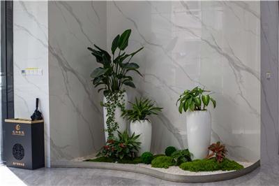 热议长林智能点胶机口碑，分析市场占有率与维护成本高低