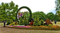 阐释立体花坛造价受哪些因素影响，分享植物成活率保证及节日造型方案