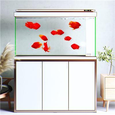 总结有实力的鱼缸定制工厂，大型鱼缸定制生产厂合作案例大盘点