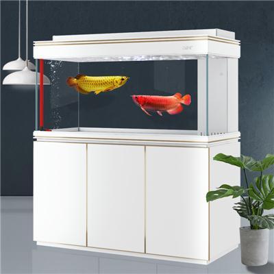 如何选择鱼缸定制服务商，2026年性价比高的厂家分享